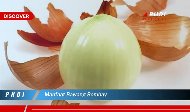 manfaat bawang bombay