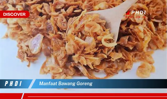 manfaat bawang goreng