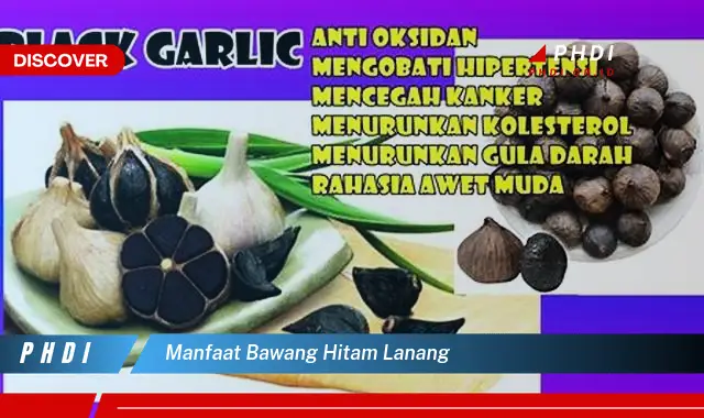 manfaat bawang hitam lanang