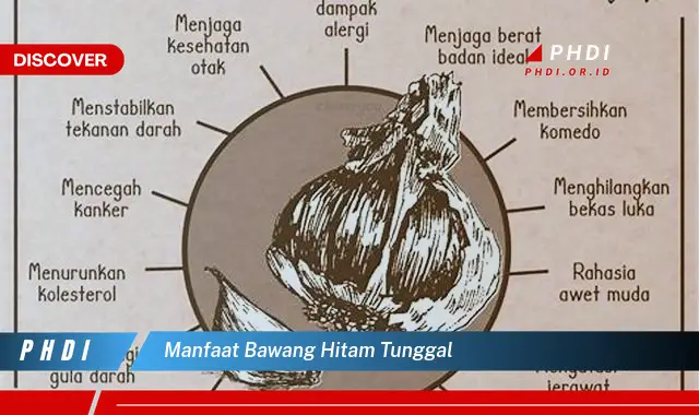 manfaat bawang hitam tunggal