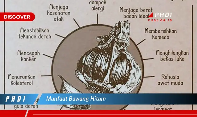 manfaat bawang hitam