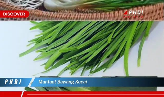 manfaat bawang kucai