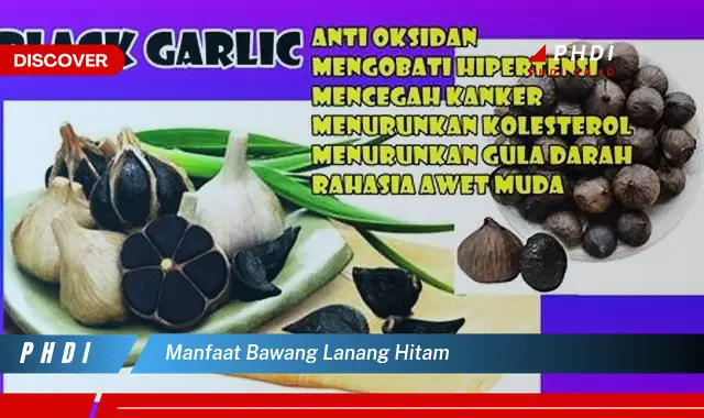 manfaat bawang lanang hitam