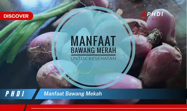 manfaat bawang mekah