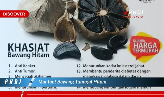 manfaat bawang tunggal hitam