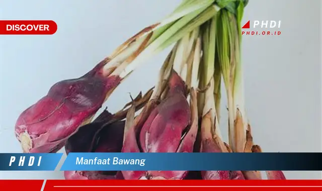 manfaat bawang