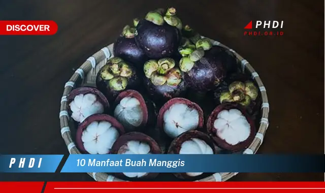 10 manfaat buah manggis