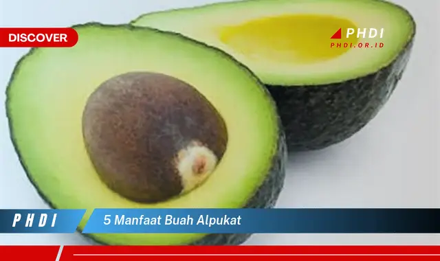 5 manfaat buah alpukat