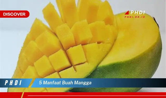 5 manfaat buah mangga