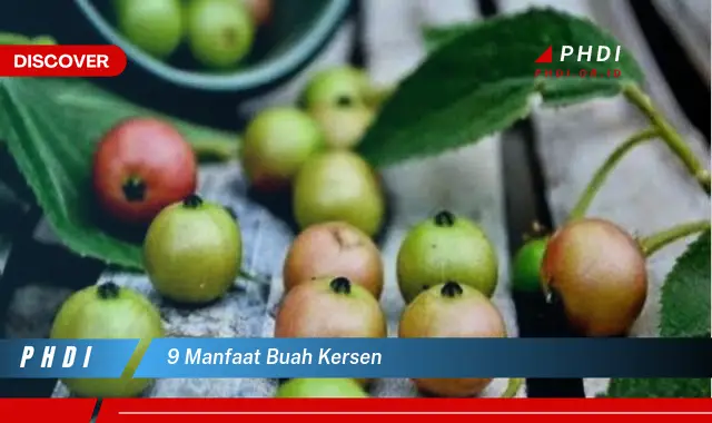 9 manfaat buah kersen