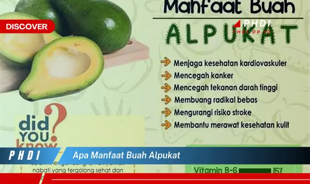 apa manfaat buah alpukat