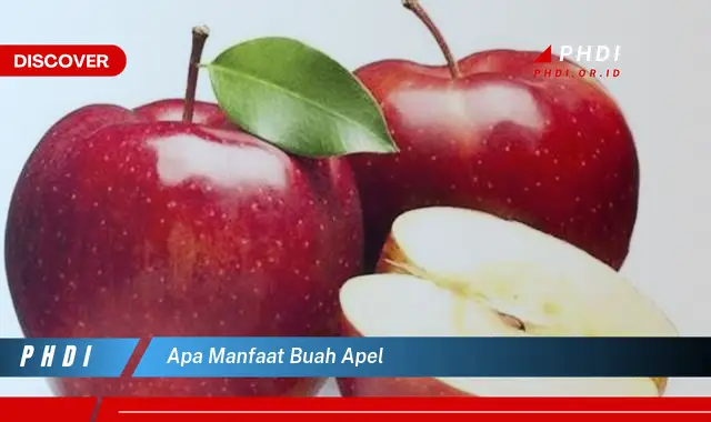 apa manfaat buah apel