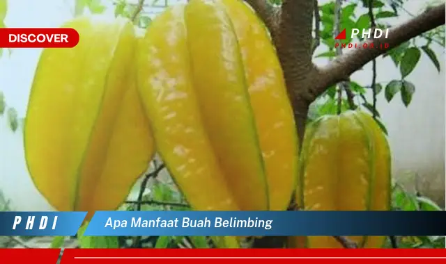 apa manfaat buah belimbing