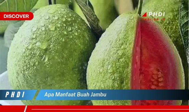 apa manfaat buah jambu