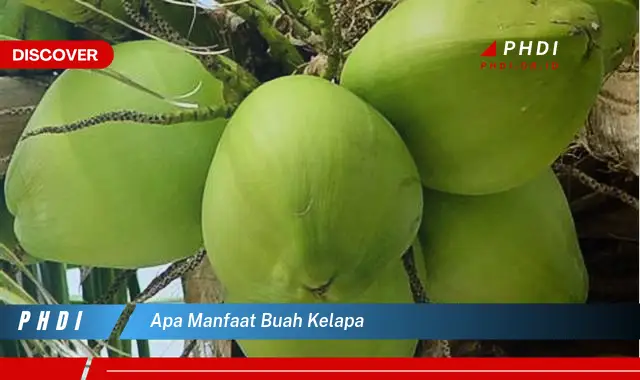 apa manfaat buah kelapa