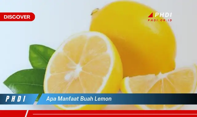 apa manfaat buah lemon