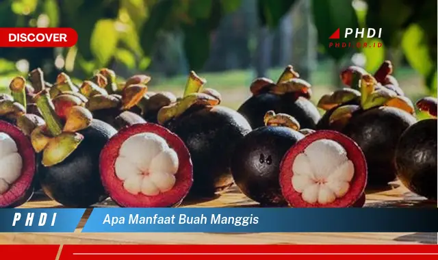 apa manfaat buah manggis