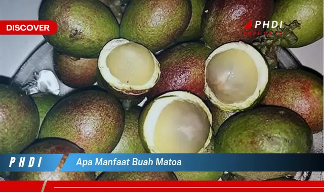 apa manfaat buah matoa