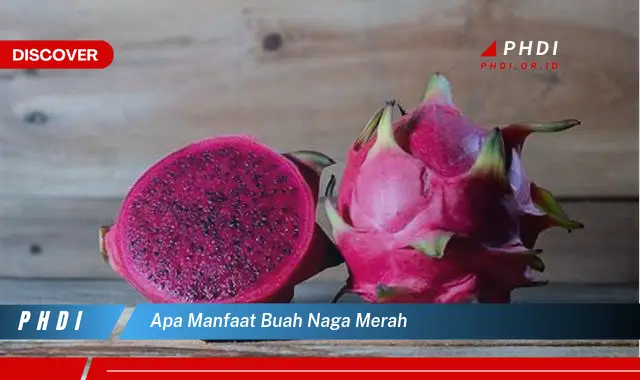 apa manfaat buah naga merah