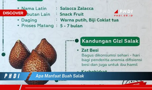 apa manfaat buah salak