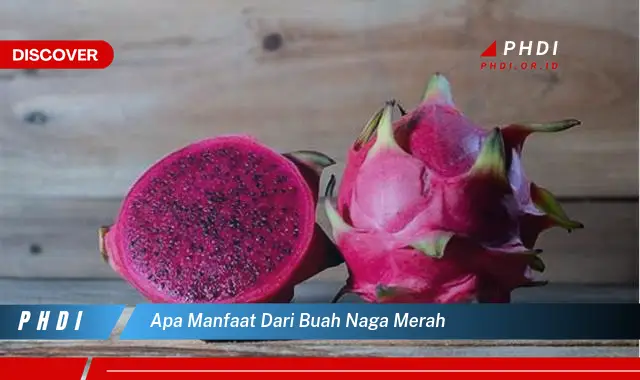 apa manfaat dari buah naga merah