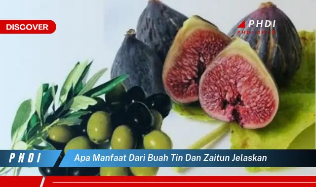 apa manfaat dari buah tin dan zaitun jelaskan