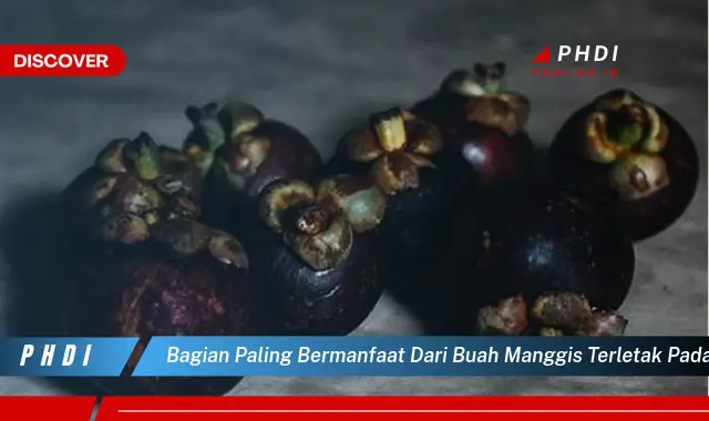 bagian paling bermanfaat dari buah manggis terletak pada