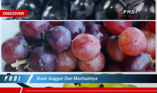 buah anggur dan manfaatnya