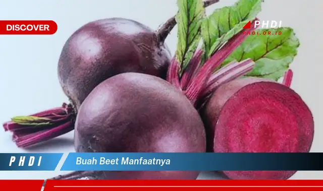 buah beet manfaatnya