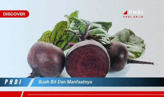 buah bit dan manfaatnya