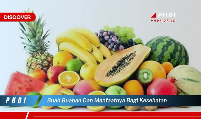 buah buahan dan manfaatnya bagi kesehatan