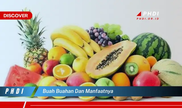 buah buahan dan manfaatnya