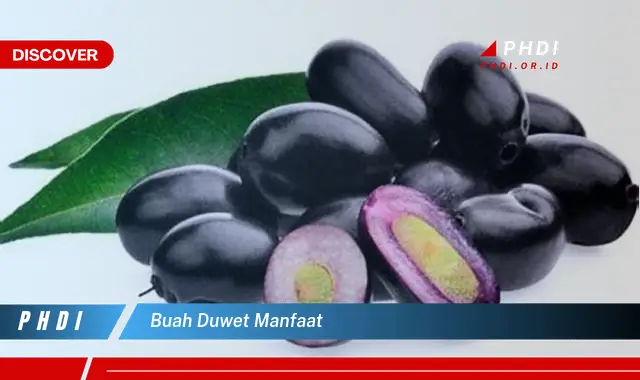 buah duwet manfaat