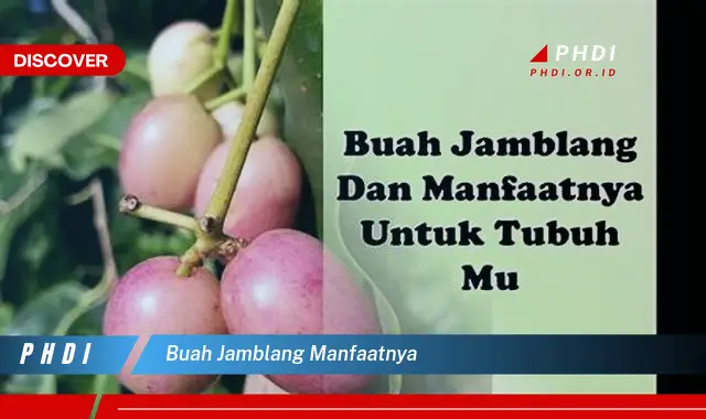 buah jamblang manfaatnya