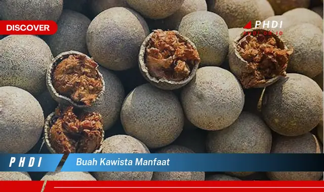 buah kawista manfaat