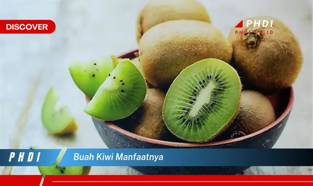 buah kiwi manfaatnya