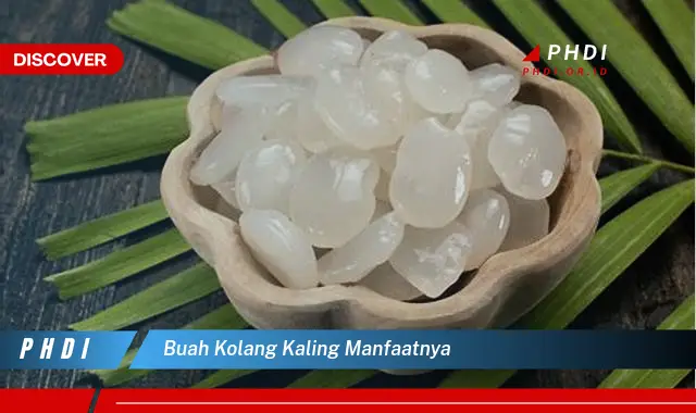 buah kolang kaling manfaatnya