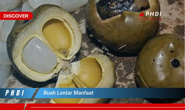 buah lontar manfaat