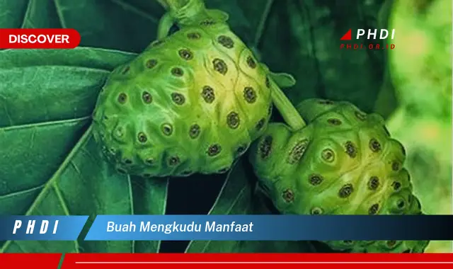 buah mengkudu manfaat