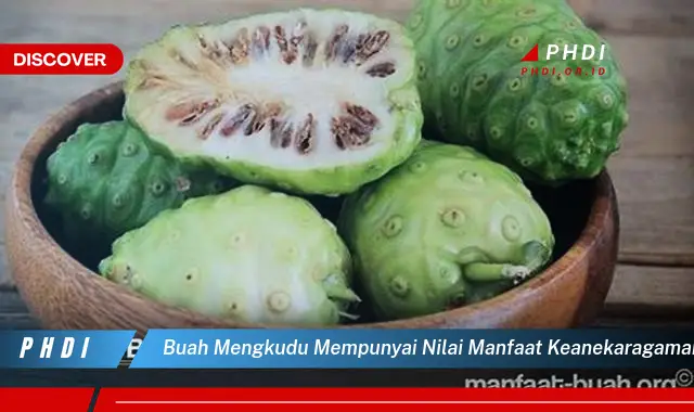 buah mengkudu mempunyai nilai manfaat keanekaragaman hayati berupa sumber