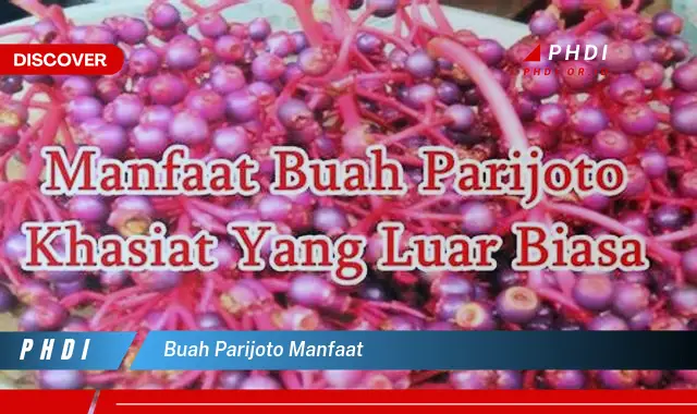 buah parijoto manfaat