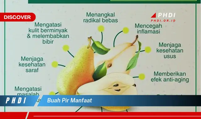 buah pir manfaat