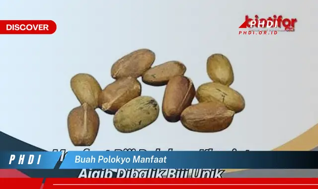 buah polokyo manfaat