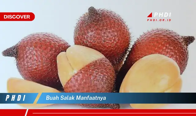 buah salak manfaatnya