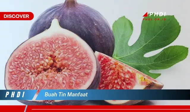 buah tin manfaat