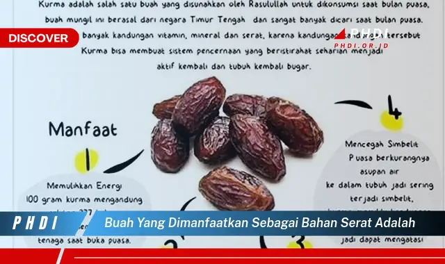 buah yang dimanfaatkan sebagai bahan serat adalah