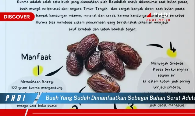 buah yang sudah dimanfaatkan sebagai bahan serat adalah