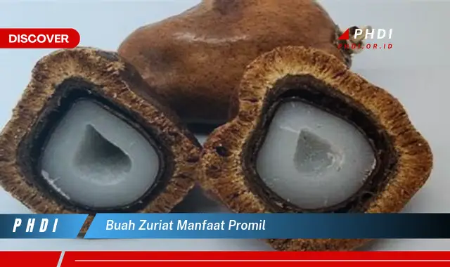 buah zuriat manfaat promil