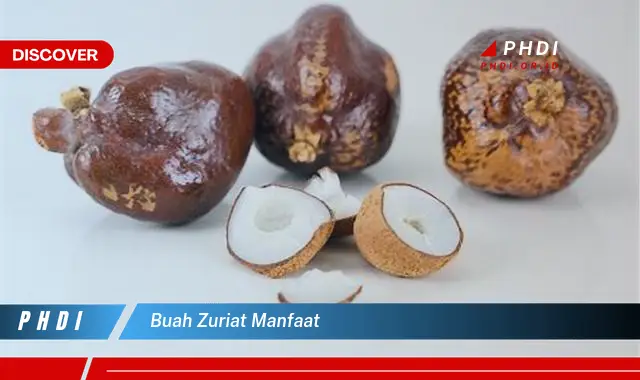 buah zuriat manfaat