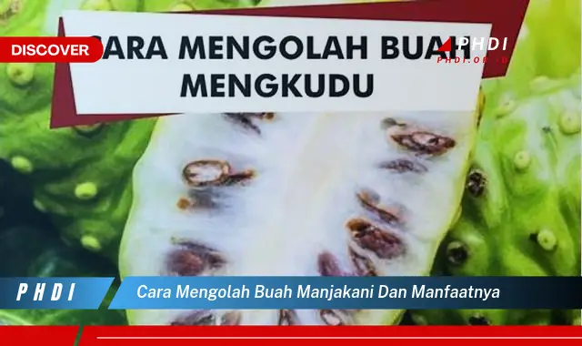 cara mengolah buah manjakani dan manfaatnya